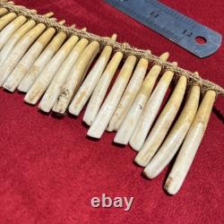 PIGS TEETH NECKLACE, Imbonggu tribe, Southern Highlands, Papua New Guinea