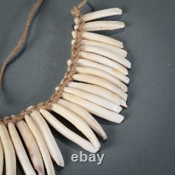 PIGS TEETH NECKLACE, Imbonggu tribe, Southern Highlands, Papua New Guinea