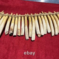 PIGS TEETH NECKLACE, Imbonggu tribe, Southern Highlands, Papua New Guinea