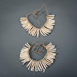 PIGS TEETH NECKLACE, Imbonggu tribe, Southern Highlands, Papua New Guinea