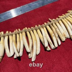 PIGS TEETH NECKLACE, Imbonggu tribe, Southern Highlands, Papua New Guinea
