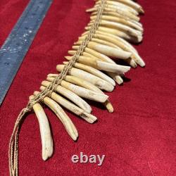 PIGS TEETH NECKLACE, Imbonggu tribe, Southern Highlands, Papua New Guinea