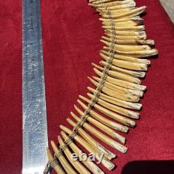 PIGS TEETH NECKLACE, Imbonggu tribe, Southern Highlands, Papua New Guinea