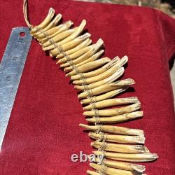 PIGS TEETH NECKLACE, Imbonggu tribe, Southern Highlands, Papua New Guinea