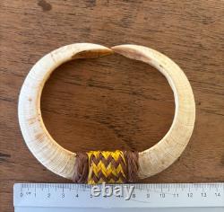 PNG Pig Tusks, Old Conus & New Ireland Shell Money, Tribal Art Papua New Guinea
