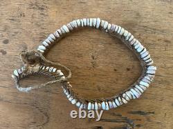 PNG Pig Tusks, Old Conus & New Ireland Shell Money, Tribal Art Papua New Guinea