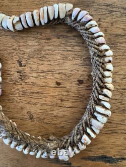 PNG Pig Tusks, Old Conus & New Ireland Shell Money, Tribal Art Papua New Guinea