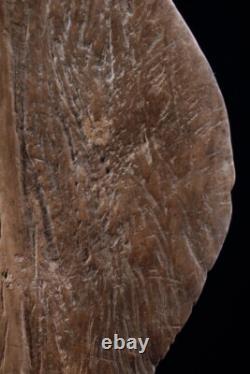 Pagaie du Sépik, Paddle, Sepik river, oceanic art, papua new guinea, 162 cm