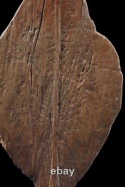 Pagaie du Sépik, Paddle, Sepik river, oceanic art, papua new guinea, 162 cm