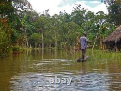 Pagaie du Sépik, Paddle, Sepik river, oceanic art, papua new guinea, 167 cm