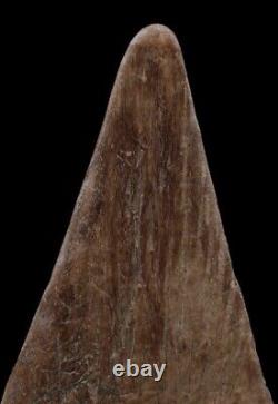 Pagaie du Sépik, Paddle, Sepik river, oceanic art, papua new guinea, tribal art