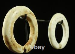 Pair of Papuan Gulf Conus Shell ear rings Papua New Guinea