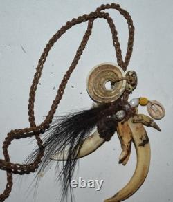 Papua New Guinea Amulet Necklace, Dog/pig/croc Teeth, Shells, Feathers 16, 1900s