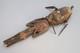 Papua New Guinea, Antique Early 20th Century Tribal Chief Cane Idol Of Ancestor