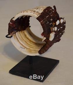 Papua New Guinea Armband Large Cone Shell Ceremonial Bracelet