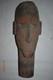 Papua New Guinea Asmat Substitute Head, Hdwd, Huge 18 Prov
