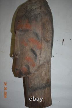 Papua New Guinea Asmat Substitute Head, Hdwd, Huge 18 Prov
