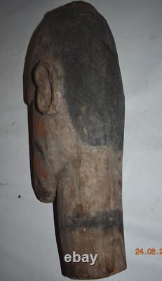 Papua New Guinea Asmat Substitute Head, Hdwd, Huge 18 Prov