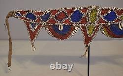 Papua New Guinea Belt Nassa Cowrie Shell Red Blue Abelam Tribe Currency Belt