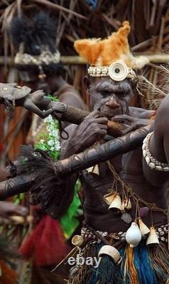 Papua New Guinea Bird Flute On Custom Stand, 21, 1900s