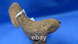 Papua New Guinea Bird Head Bone Dagger Asmat Abelam Kwanga Peoples Early 1900s