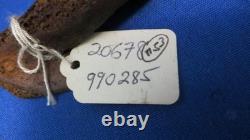 Papua New Guinea Bird Head Bone Dagger Asmat Abelam Kwanga Peoples Early 1900s