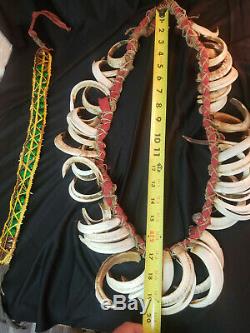 Papua New Guinea Boars Tusk Chieftain Necklace and Green Beetle Headband