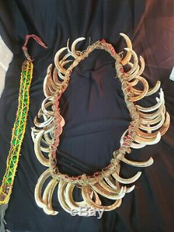 Papua New Guinea Boars Tusk Chieftain Necklace and Green Beetle Headband