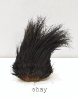 Papua New Guinea Cassowary Feather Headdress