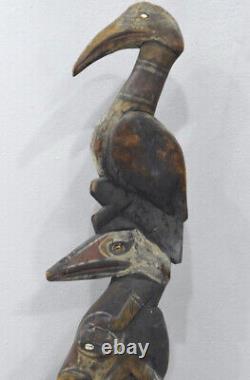 Papua New Guinea Creation Story Subut Bird Iatmul