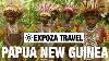 Papua New Guinea Culture Oceania Vacation Travel Wild Video Guide