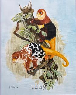 Papua New Guinea Cuscus Original watercolor 10 x 8 in 14 x 11 acid free mat