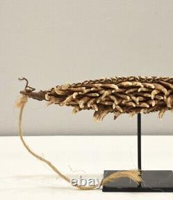 Papua New Guinea Dog Teeth Headband Boiken Tribe