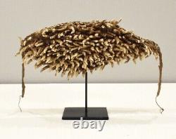 Papua New Guinea Dog Teeth Headdress Boiken Tribe