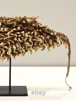 Papua New Guinea Dog Teeth Headdress Boiken Tribe