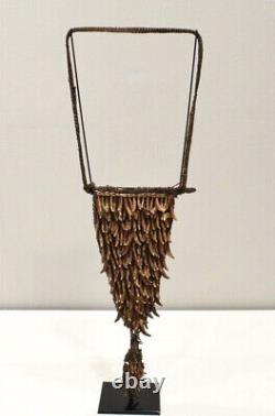 Papua New Guinea Dog Teeth Pectoral Boiken Tribe