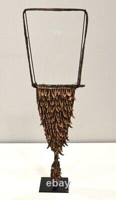 Papua New Guinea Dog Teeth Pectoral Boiken Tribe