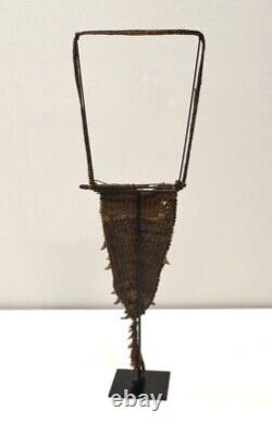 Papua New Guinea Dog Teeth Pectoral Boiken Tribe