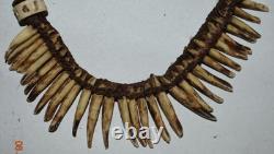 Papua New Guinea Dog Tooth Necklace, 15 1900s