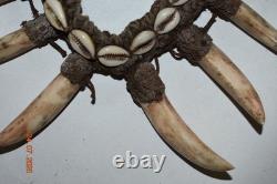 Papua New Guinea Large Ritual Teeth Necklace, 10, 1900s