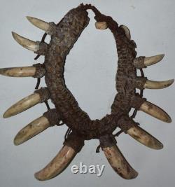 Papua New Guinea Large Ritual Teeth Necklace, 10, 1900s