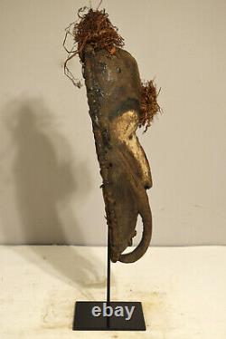 Papua New Guinea Mask Mwai Angorman Village Initiation Mwai Shell Clay Mask