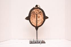 Papua New Guinea Mask Yam Turtle Kaminbit Village W STAND Oceanic