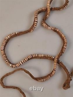 Papua New Guinea Old Conus Shell Money Strand Necklace Wealth money