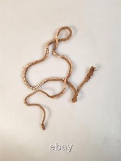 Papua New Guinea Old Conus Shell Money Strand Necklace Wealth money
