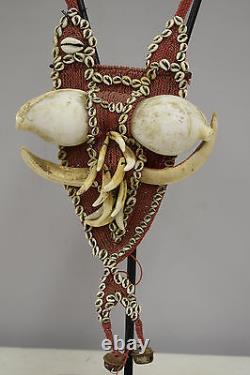 Papua New Guinea Pectoral Shell Dog Tooth Neckace