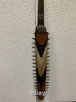 Papua New Guinea Sawfish Rostrum