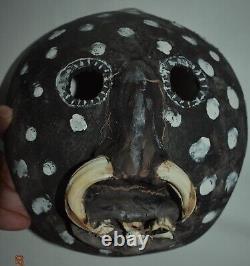 Papua New Guinea Sepik Gourd Mask, Teeth 16 1900s