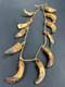 Papua New Guinea Sepik Iatmul Abelam Korowai Tooth Necklace Set