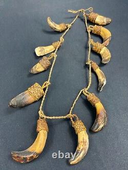 Papua New Guinea Sepik Iatmul Abelam Korowai Tooth Necklace Set